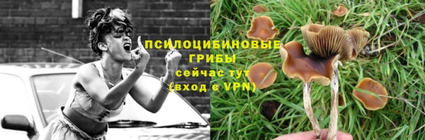 СК Балабаново